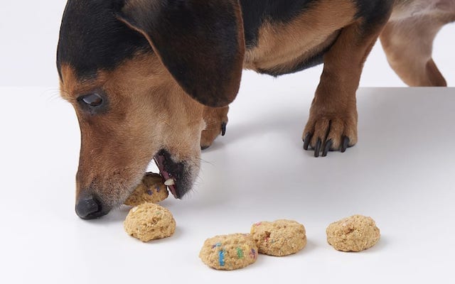 healthy dog treats